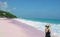 Bermuda's Beach with Pink Sands
